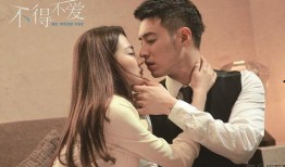 不得不爱全集在线观看,全集剧情回顾，情感纠葛尽收眼底