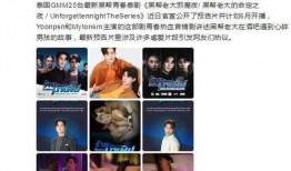 娱乐新闻爆料大全,揭秘明星幕后故事与精彩瞬间