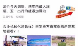 常宁新闻爆料网官网首页,聚焦本土热点，传递最新资讯